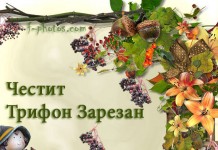 Честито на лозарите и градинарите - Трифон Зарезан